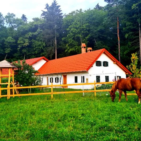 Turistična kmetija Hiša ob gozdu pri Ptuju, hotel v mestu Gočova