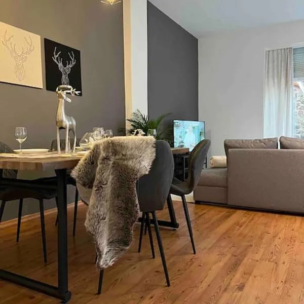 AKK5 Großes Apartment mit Terrasse Nähe Hbf/Uni, hotel in Magdeburg