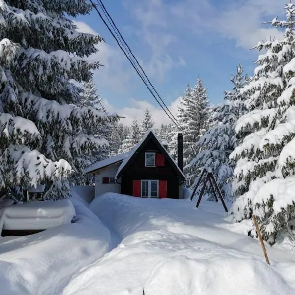 Snowhite Jahorina, hotel v destinácii Jahorina