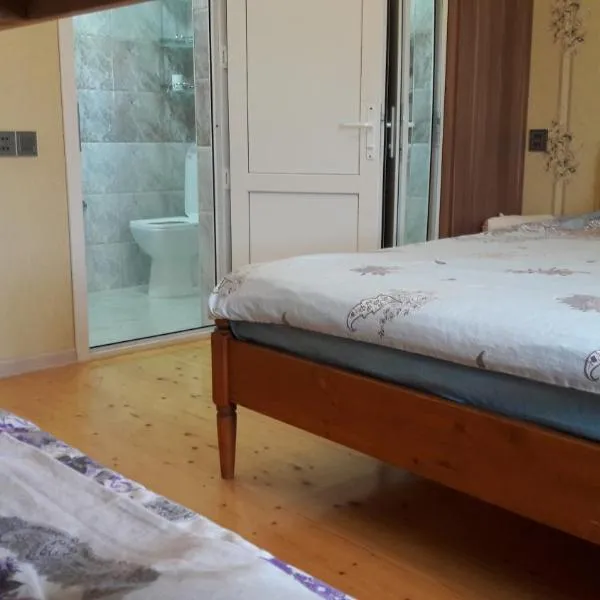 Hasanovs Villa, hotel v destinaci Baku