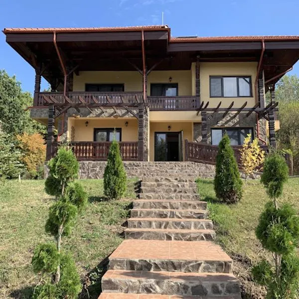 Pensiunea Sasha, hotel v destinaci Bîrnova