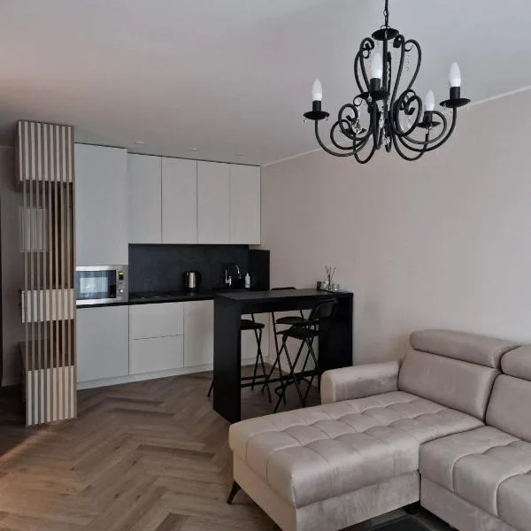 Parko nauji apartamentai, hotel v destinaci Panevėžys