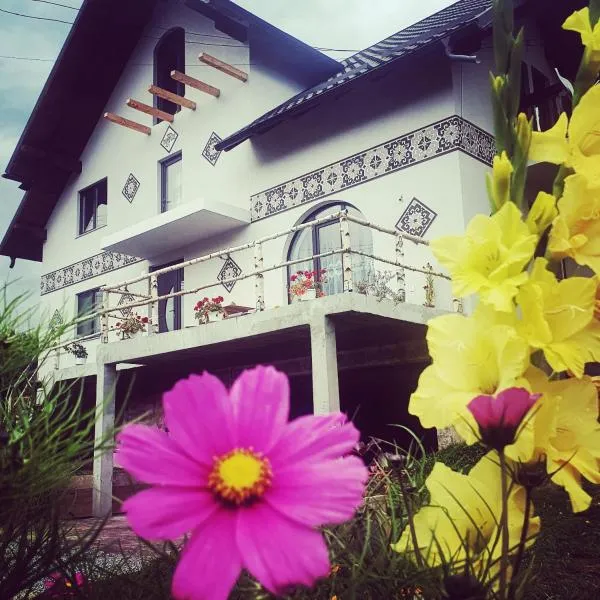 Casa Aureliana, hotel in Ciocăneşti