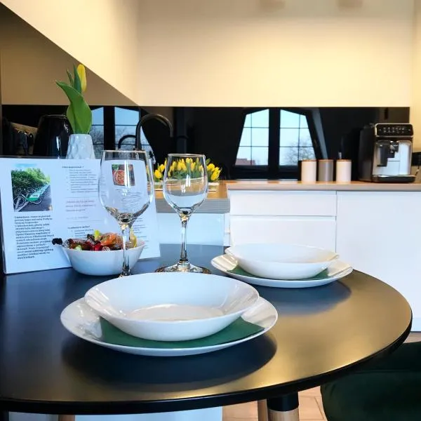 Apartament Bianco Verde, hotel di Częstochowa