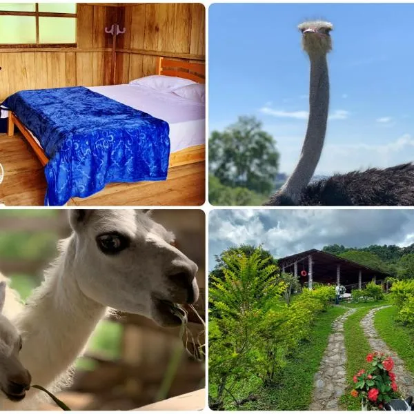Finca Ecoparaiso, hotel v destinaci Ibagué