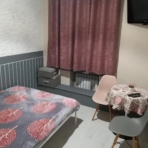 Міні готель на Костюринському, hotel v destinaci Charkov