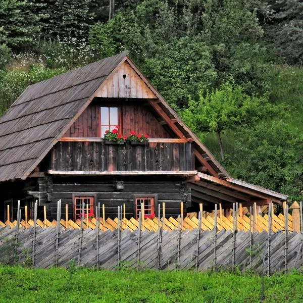 Eco tourist farm Mikl, hotel v destinaci Prevalje