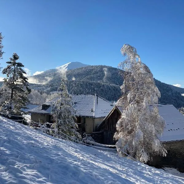 Au Diapason Chambres d'hôtes montagne, hotel v destinaci Auzet