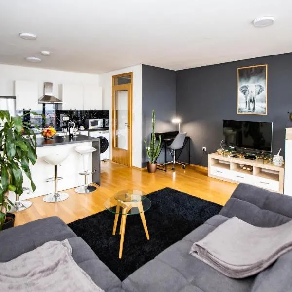 HERMES APARTMENT & 2 free garage secured parkings, hotel v Lublani