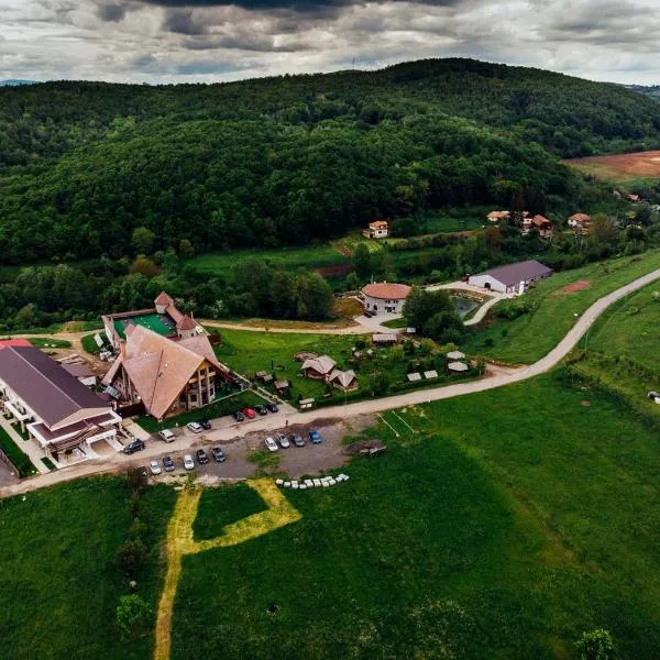 Pension Domeniul Regilor, hotel a Şuţu