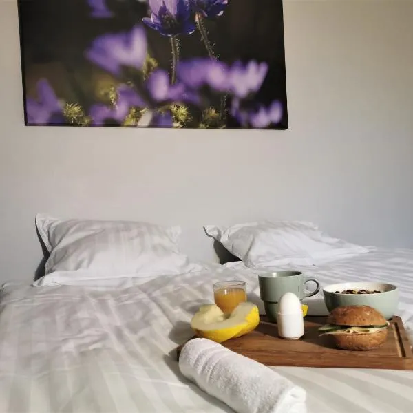 Broholm Bed&Breakfast, hotell i Lidköping