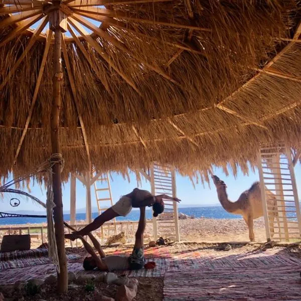 COSMOS nature Lodge and Spiritual community、ダハブのホテル
