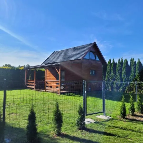 Apartamenty EverySky - Domek Koło Karpacza、ミスワコビツェのホテル