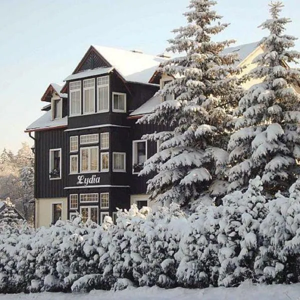 Villa Lydia, hotel v destinaci Kurort Altenberg
