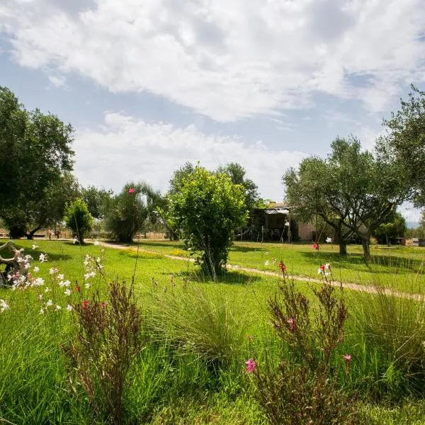 Agriturismo La Facenda, hotel v destinaci Albinia