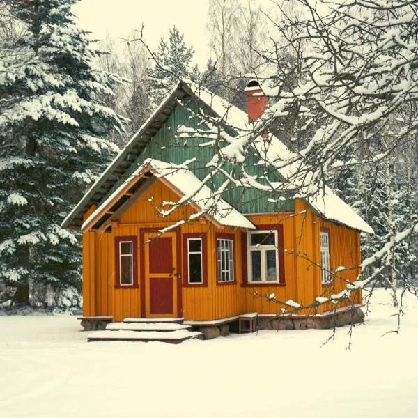 Nedsaja metsamaja ja saun, hotel in Värska