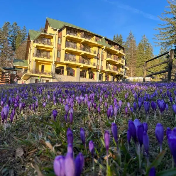 Hotel OHMA - Casa Viorel, viešbutis mieste Poiana Brasov