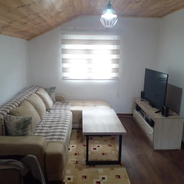 Apartman Branko, hotel i Kolašin