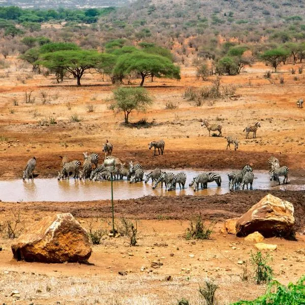 Kilaguni Serena Safari Lodge, hôtel à Tsavo