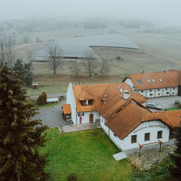 Penzion Brusinka, hotel v destinaci Kocourov