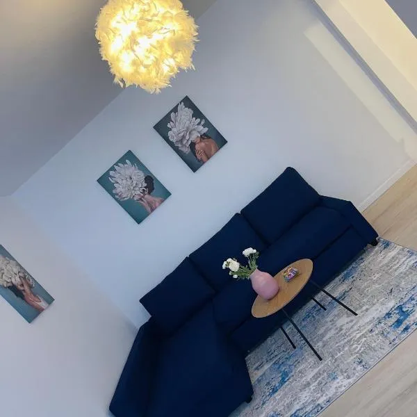 Discret Apartament Seven, מלון בBolovani