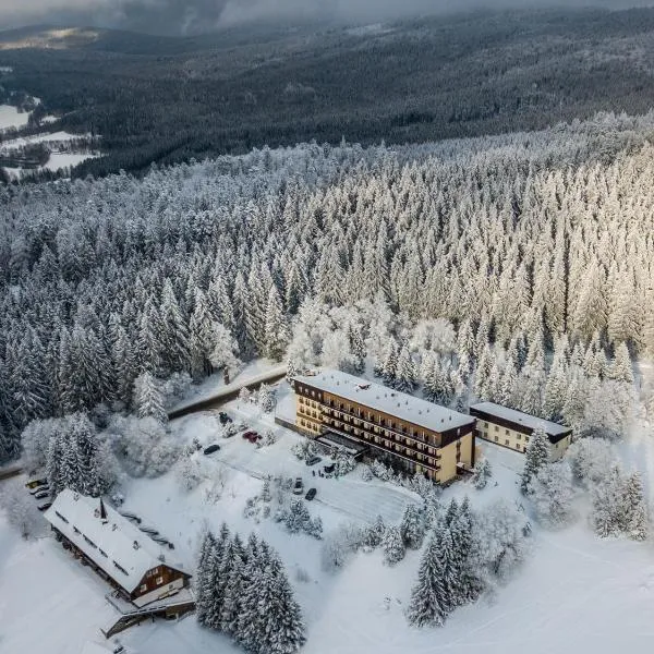 OREA Hotel Špičák Šumava, hotel v destinaci Železná Ruda
