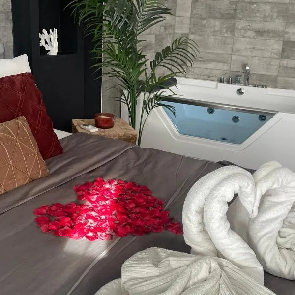 Superbe appartement avec balnéo., ξενοδοχείο σε Saint-Cyprien