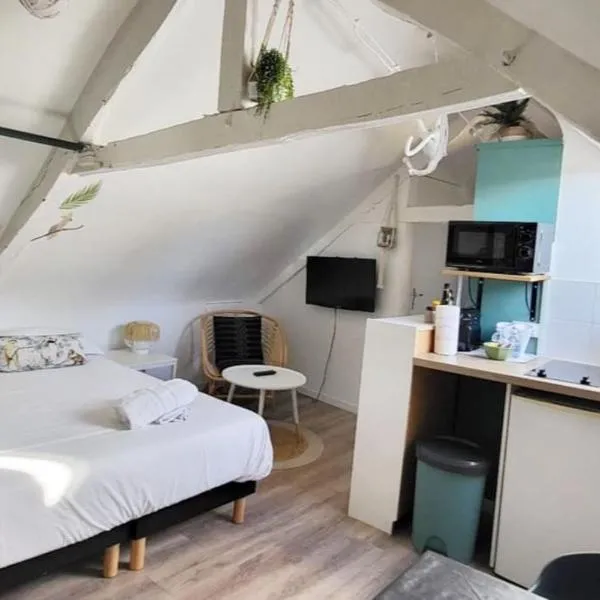 La Cabane - Petit studio mansardé - Plage 50m - Rue gratuite, hotel i Saint-Malo