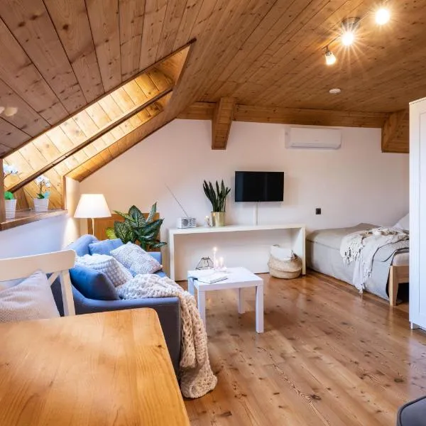 APARTMENT KLAGENFURT Landhaus Wulfenia - with Free Parking, Sauna, Smart-TV and Air Conditioning, hotel i Klagenfurt