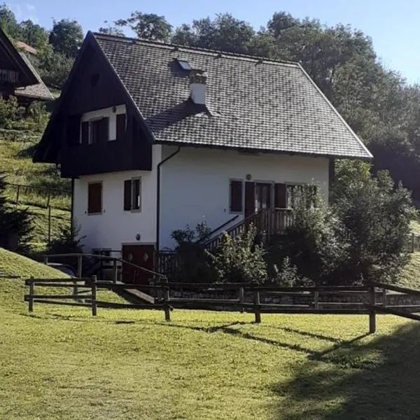 Casa vacanze Ravascletto, hotel in Valpicetto