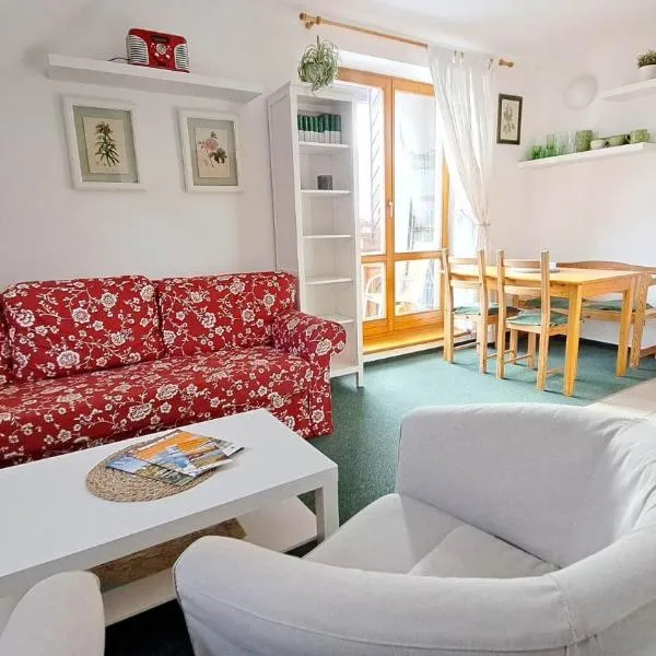 Apartmán 6 u sjezdovek, hotel in Rokytnice nad Jizerou