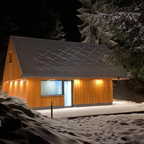 Brunarica Chalet Rogla Sauna、Vitanjeのホテル