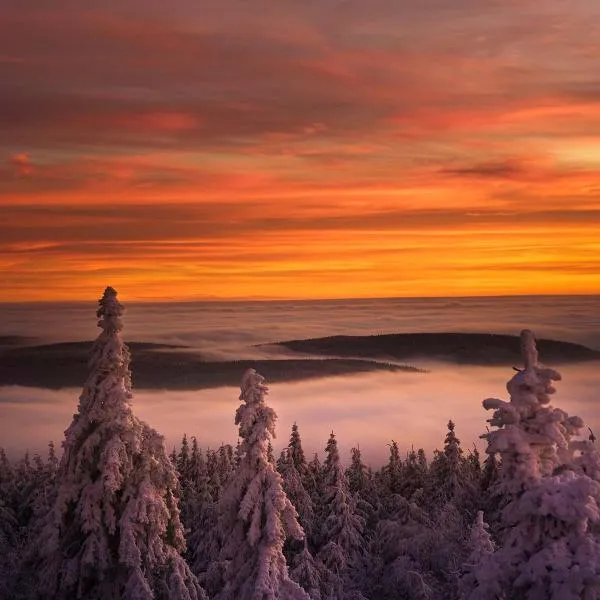 Ferienwohnung im Chaletstil Sonnenidyll 51 qm Wellness Fitness Sauna Bergrödelhof, hotel em Feilitzsch