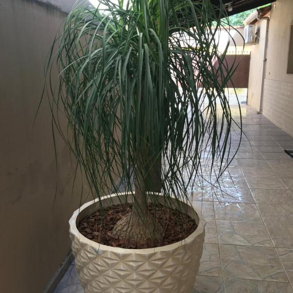 Pousada da Benção - Foto 5