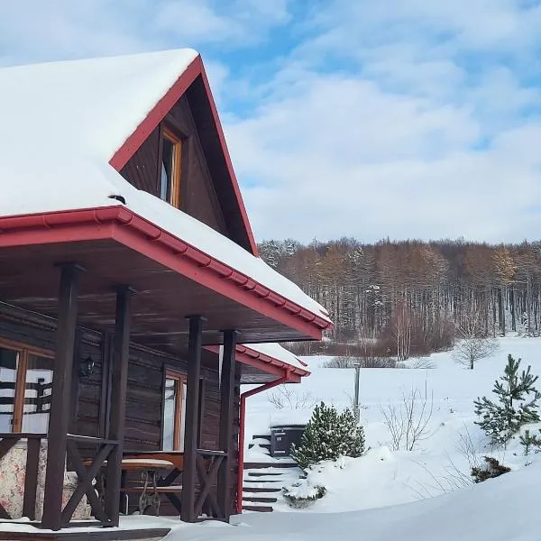 Willa Wirchnia, ξενοδοχείο σε Małastów