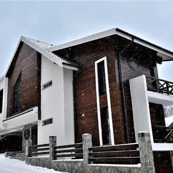 Casa Larisa - Wolves Apartment, khách sạn ở Sinaia
