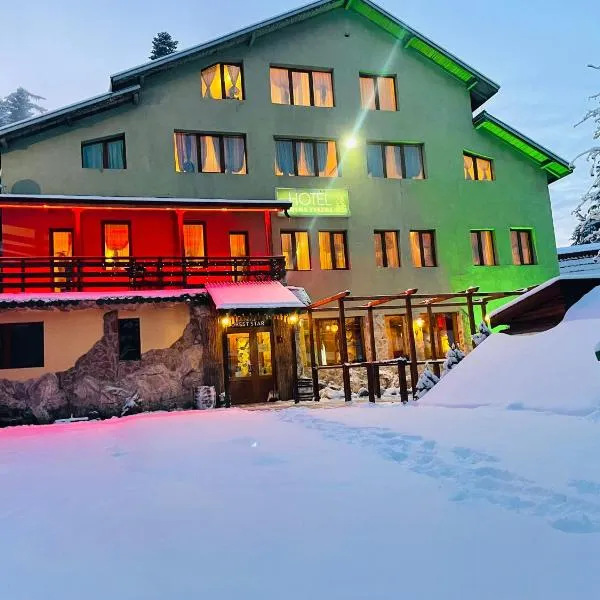 Hotel Forest Star on the Ski Slope, hotel in Mala Tsŭrkva
