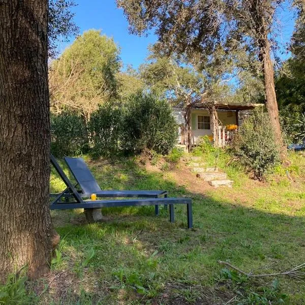 Mobilhome à la campagne, hôtel à Porto-Vecchio