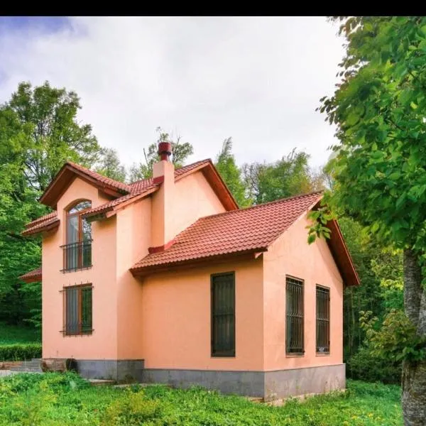 Dilijan Dream House! 3 Bedroom Amazing Villa in National Park!, hotel v destinaci Dilidžan