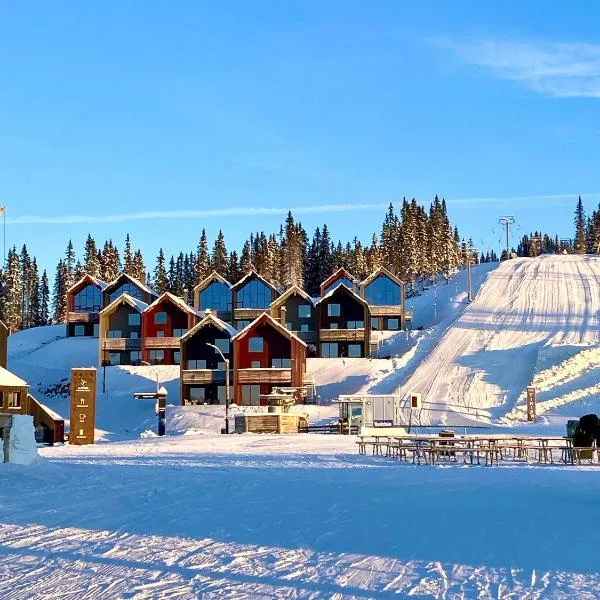 New ski in-out apartment with sauna in Hafjell, hotel em Øyer