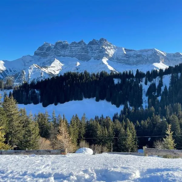 Mountain River Appart, hotel in Val-d'Illiez