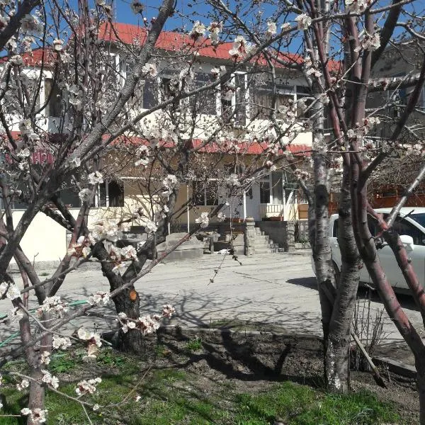 Ani Hotel, hotel in Spandaryan