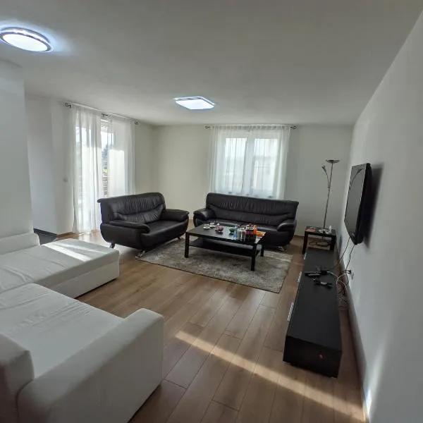 Ika LuX apartmani 4*: Trijebina şehrinde bir otel