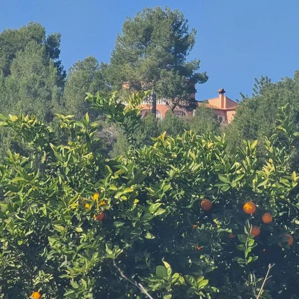 Château Angélique, hotell i Montroy