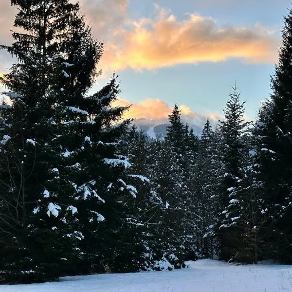 Maiers Hotel, hotel v destinaci Bayerisch Eisenstein