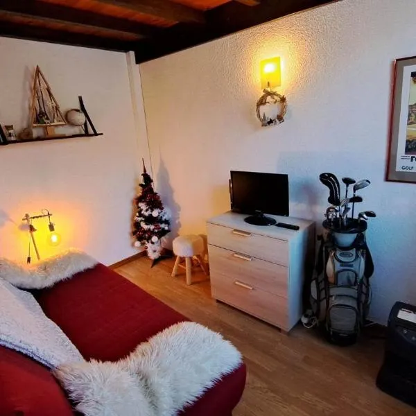 Calme et ski ambiance cosy à Font-Romeu – hotel w mieście Font-Romeu-Odeillo-Via