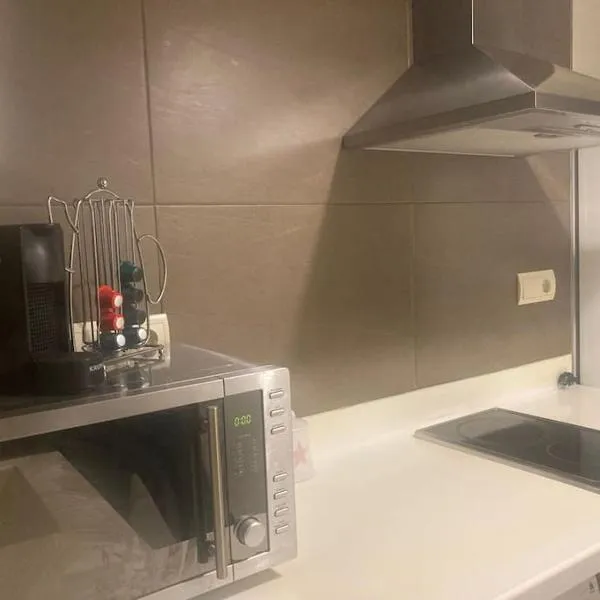 Magnífico Apartamento en el Centro de Puigcerdá, viešbutis mieste Puigserda