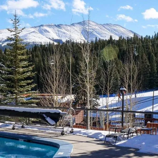 Beaver Run Studio With Kitchen, Dog Friendly- 4217, מלון בברקנרידג'