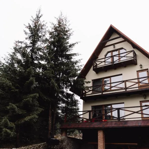 Котедж Яблуниця, hotel in Yablunytsya