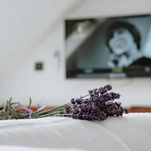 Dom Hany Hegerovej, готель у місті Hurbanovo